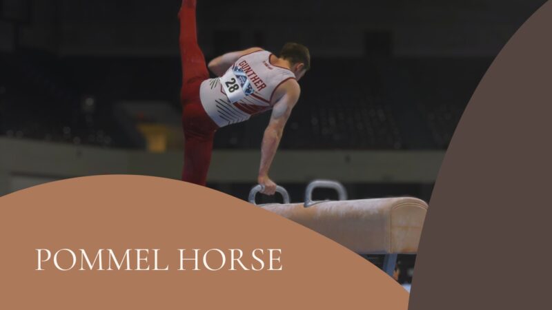 Pommel Horse Definition & Meaning - From History to Heights